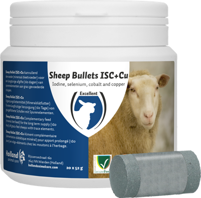 Sheep Bullet Minerals + Koper