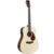 Charlesville Rosewood Series D-RW-E Dreadnought elektrisch-akoestische westerngitaar - thumbnail