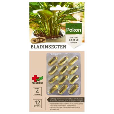 Pokon Bio kuur voor weerbare en gezonde kamerplanten capsules