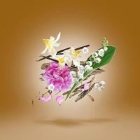 Xerjoff Alexandria III Eau de parfum Spray 50ml - thumbnail