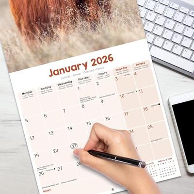 Highland Cows Calendar 2026 Square Animal Wall Calendar - 16 Month