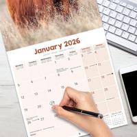 Schotse Hooglanders Kalender 2026 - thumbnail