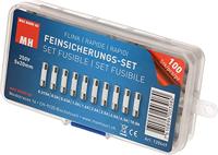 Max Hauri 128449 Buiszekering assortiment (Ø x l) 5 mm x 20 mm Snel -F- Inhoud 100 stuk(s) - thumbnail