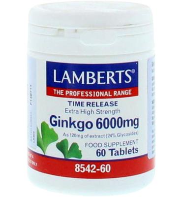 Lamberts Ginkgo 6000mg Time Release Tabletten