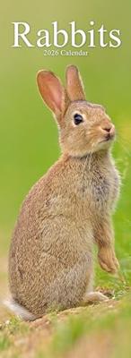 Rabbits Slim Calendar 2026 Cute Slimline Calendar - 12 Month