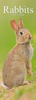 Konijnen Kalender 2026 Slimline - thumbnail
