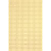 Rademacher WR-Typ 716-5 Printplaat Zonder Cu-laag Hardpapier (l x b) 160 mm x 100 mm Rastermaat 2.50 mm Inhoud 1 stuk(s) - thumbnail