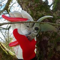 ARS Snoeischaar VS-8XZ 20cm, M, rood - thumbnail