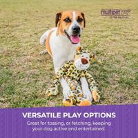 HAPPY PET SWINGIN SAFARI GIRAFFE - thumbnail