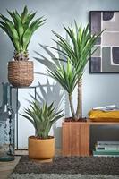 Plantenmand mica avalon zeegras 31x30cm lichtbruin - thumbnail