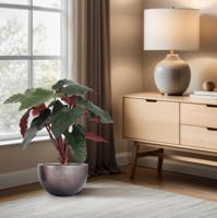 Philodendron kunstplant Deluxe 80cm Burgundy - thumbnail