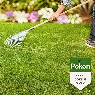 Pokon Gazonmest + kalk 3-in1 / 75m2