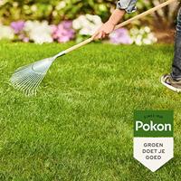Gazonmest met Kalk 75m2 - Pokon - thumbnail