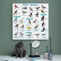 Samsung Galaxy A56 17 cm (6.7") Dual SIM Android 15 5G USB Type-C 8 GB 128 GB 5000 mAh Roze - thumbnail