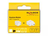 Delock 87792 USB-inbouwmodule Keystone 1 stuk(s) - thumbnail