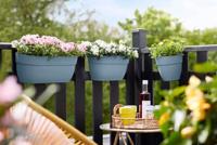 Elho Vibia Campana Small Hangpot blauw - thumbnail