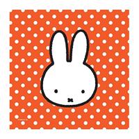 Servetten Nijntje - thumbnail