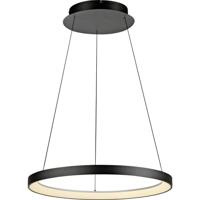 Paul Neuhaus HOOP 2851-18 LED-hanglamp LED LED vast ingebouwd 37 W Zwart - thumbnail