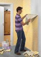 Behangverwijderaar Metylan - thumbnail