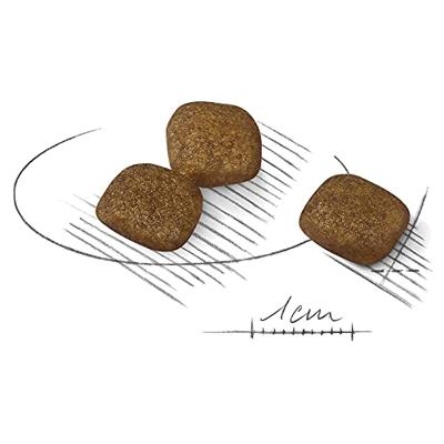 Royal Canin Coat Care Mini hondenvoer 2 x 3 kg