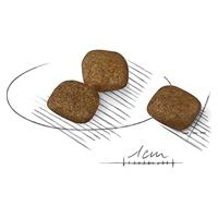 Royal Canin Coat Care Mini hondenvoer 2 x 3 kg - thumbnail