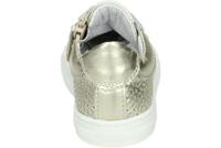 Develab 42868 - alle - thumbnail