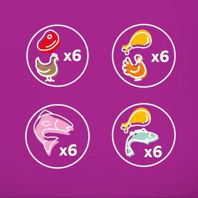 Whiskas 1+ Kattenvoer Tasty Mix Keuze van de Chef in saus 4 x 12 maaltijdzakjes bij Jumbo