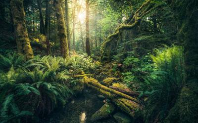 Komar Stefan Hefele; Komar Wanderlust Fotobehang Elves Cathedral - SHX9-028