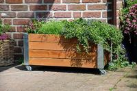 dobar Rolbaar kweekbed - thumbnail