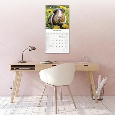 Cavia Kalender 2026
