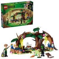 LEGO® Wicked 75687 Elphaba&apos;s schuilhut - thumbnail