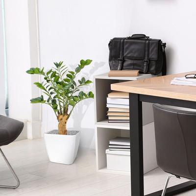 Zamioculcas kunstplant op voet 65cm