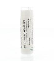 Homeoden Heel Symphytum officinale D12 6 Gram - thumbnail