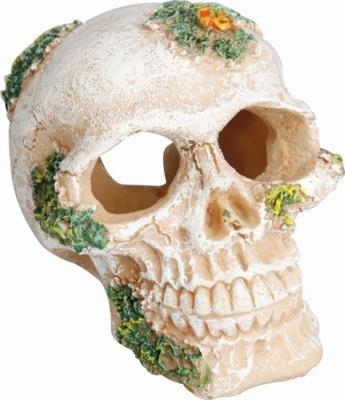 Aquarium decoratie Skull - 6.5 x 8 x 6.5 cm 6.5 x 8 x 6.5 cm Flamingo Beige Aquarium decoratie Skull - 6.5 x 8 x 6.5 cm 6.5 x 8 x 6.5 cm Flamingo Beige