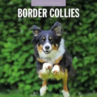 Border Collie Kalender 2026 - thumbnail
