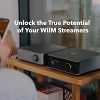 WiiM: Vibelink Amp streaming versterker - Grey - thumbnail