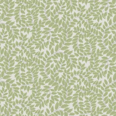 Dutch Wallcoverings Fagelsang - Lindlöv White/Green