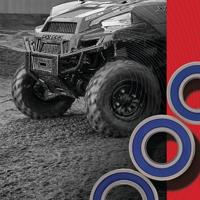 ALL BALLS Racing wiellagerset wheel bearing sets 25-111 complete with simmerrings - thumbnail