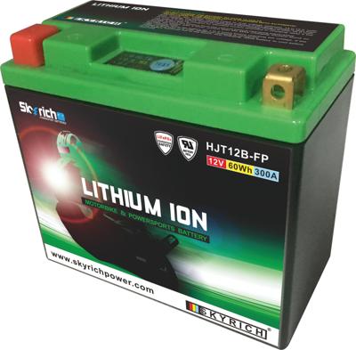 Skyrich lifepo4 batterij "hjt12b-fp". battery hjt12b-fp-si lithium