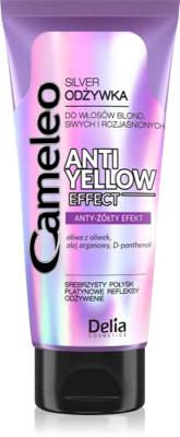 Cameleo Conditioner Silver Anti-Yellow Effect