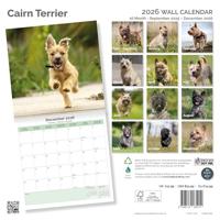 Cairn Terrier Kalender 2026 - thumbnail