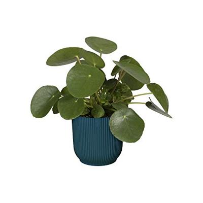 Elho Bloempot Vibes Fold Diepblauw Ø22cm Elho Bloempot Vibes Fold Diepblauw Ø22cm