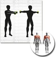 Schildkröt Fitness Dumbbells 1 kg - thumbnail