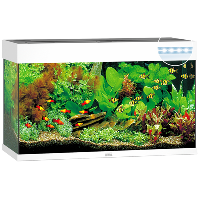Juwel aquarium Rio 125 LED met filter donkerbruin Juwel Gebr. de Boon - Gebr de boon Juwel aquarium Rio 125 LED met filter donkerbruin Juwel Gebr. de Boon - Gebr de boon
