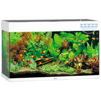 Juwel aquarium Rio 125 LED met filter donkerbruin Juwel Gebr. de Boon - Gebr de boon - thumbnail