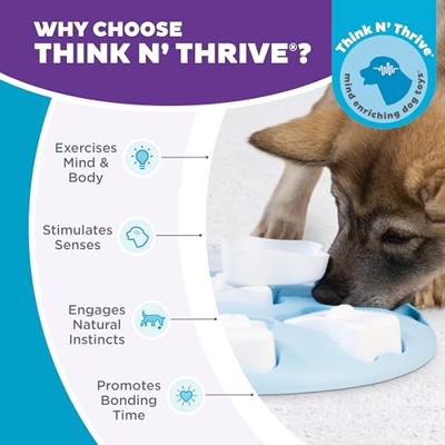 Nina Ottosson puppy smart