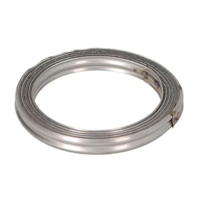 Afdichtring uitlaatpijp 256061