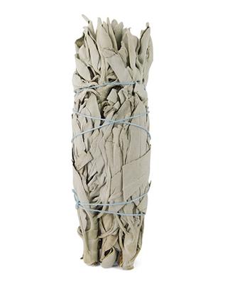 Ruben Robijn Saliebosje 14 cm 1 Stuks Ruben Robijn Saliebosje 14 cm 1 Stuks