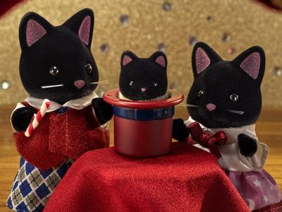 Actiefiguur Sylvanian Families 5530 SYLVANIAN FAMILIES The Magician Cat Family For Children