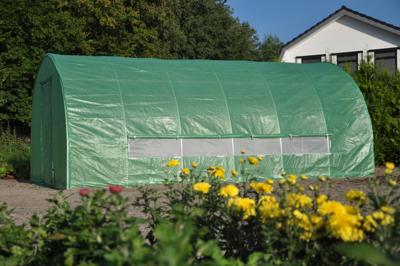 Royal Well foliekas Silver Rocket D24